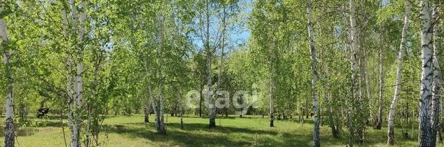 земля Быстровский сельсовет, 1 фото