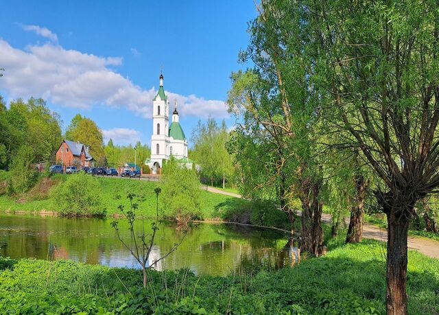 мкр Белые Столбы снт тер.Золушка 31 км, 7, Новокаширское шоссе фото