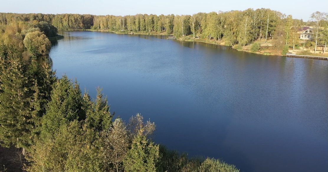 земля городской округ Богородский д Кутузово 9751 км, г. о. Домодедово, Новокаширское шоссе фото 7