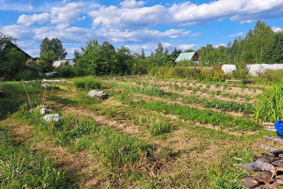 земля Лысьвенский городской округ, Лысьва фото 7