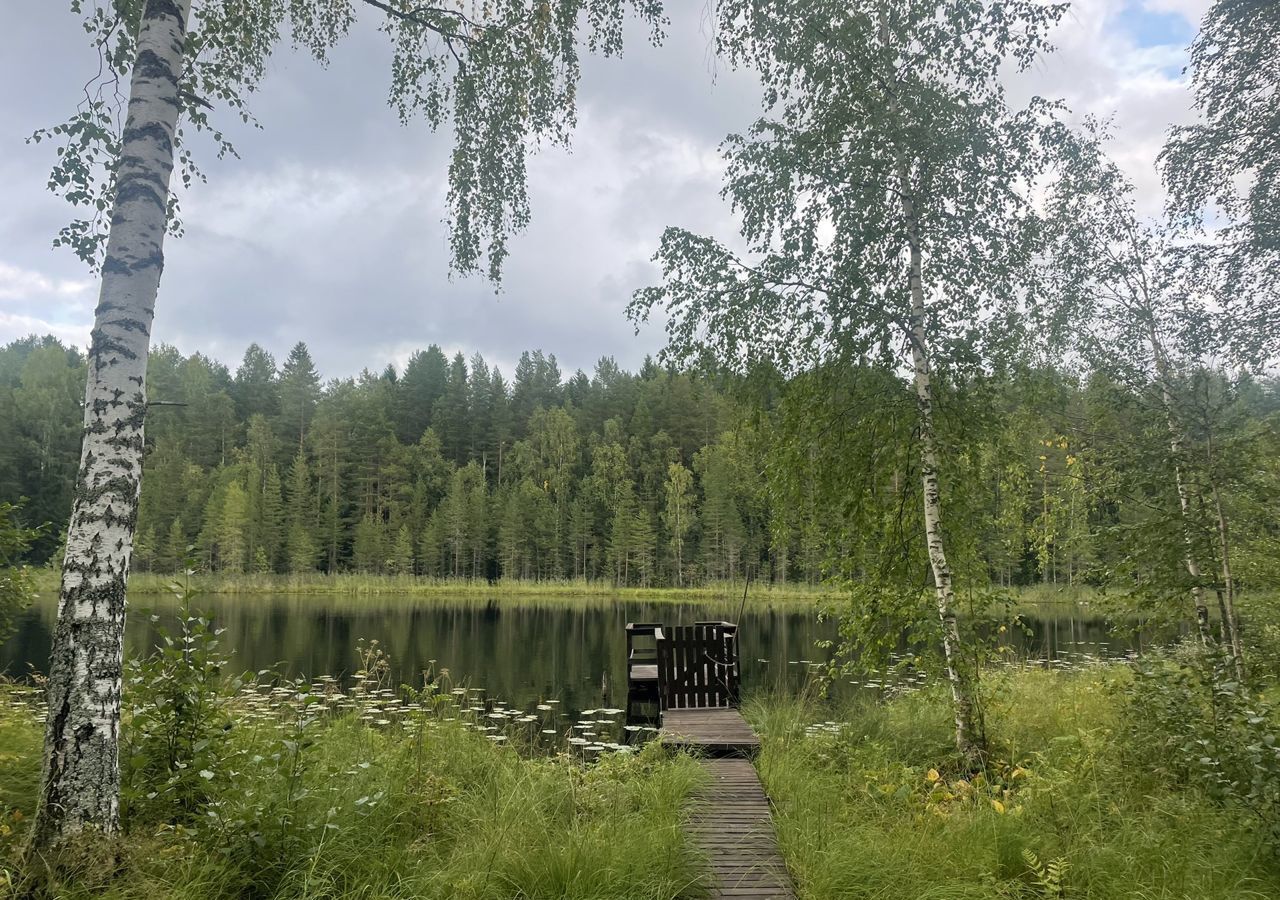 дом р-н Прионежский Деревянское сельское поселение, станция Орзега, 81, Петрозаводск фото 23