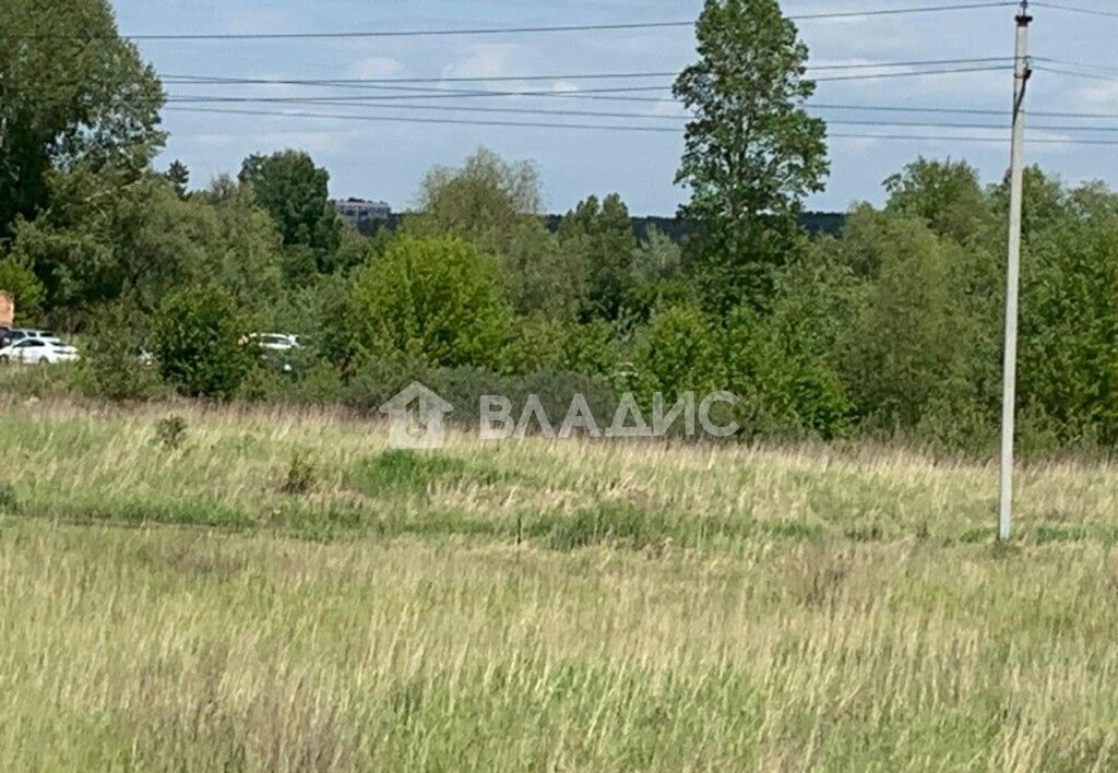 земля р-н Новосибирский дп Кудряшовский сельсовет, Новосибирск фото 1