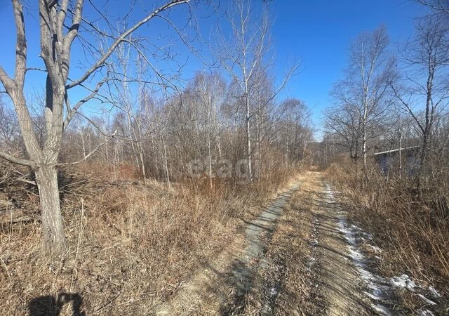 снт тер.Аргус ул 18-я Восточная фото