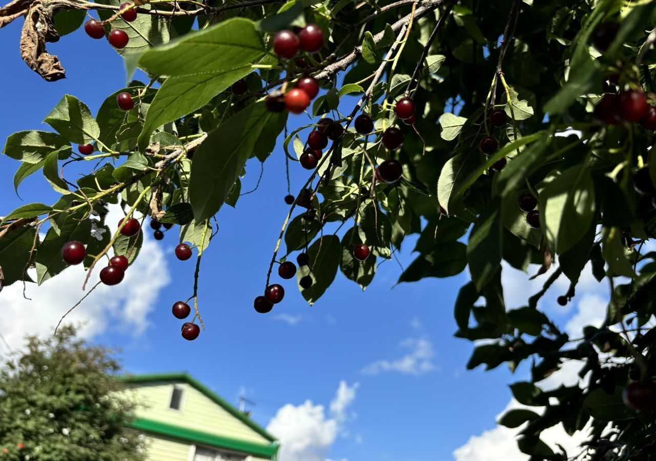 дом г Тюмень р-н Калининский снт Вертолет Ягодная ул., 59 фото 39