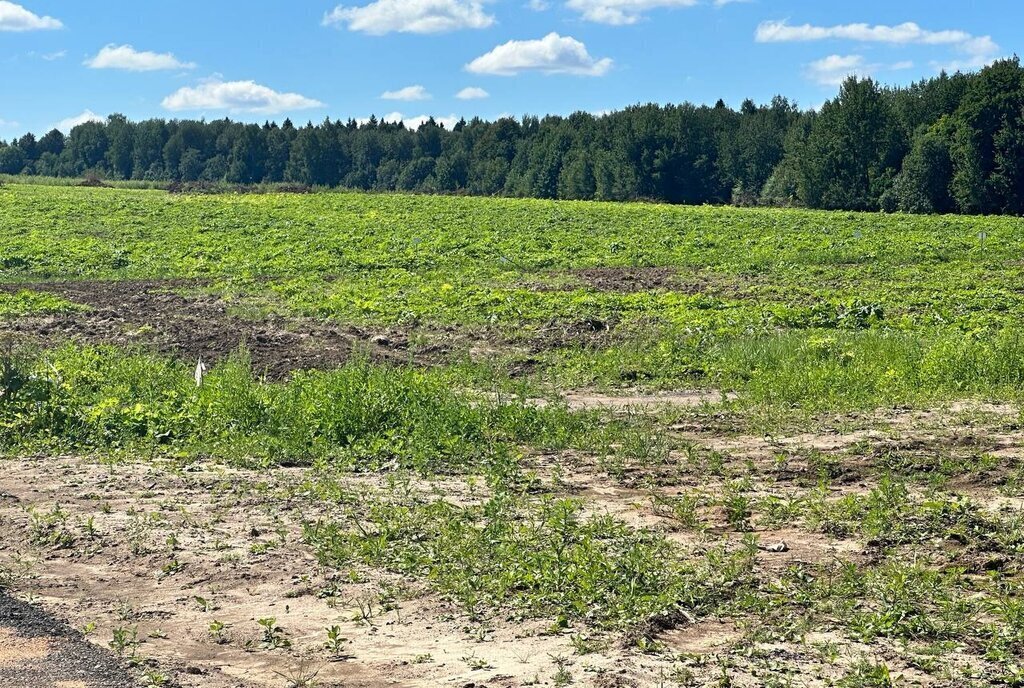 земля городской округ Клин д Григорьевское фото 25