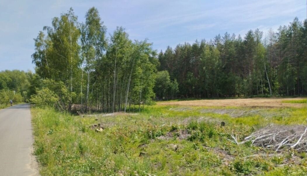 земля р-н Лаишевский снт Приволжское Нармонское сельское поселение, Казань фото 2