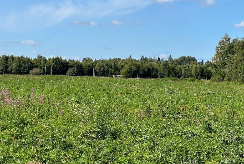 земля городской округ Клин д Николаевка фото 11