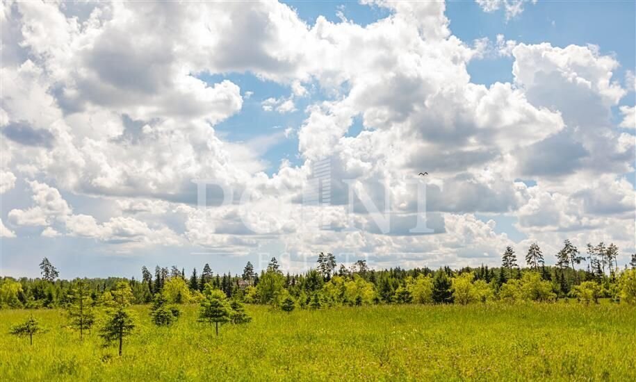 земля городской округ Красногорск д Поздняково 9734 км, Красногорск, Волоколамское шоссе фото 1