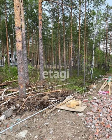 земля г Всеволожск Мурманское шоссе, 9737 км, Всеволожское городское поселение, территория СОСН Раздолье, Барбарисовая ул фото