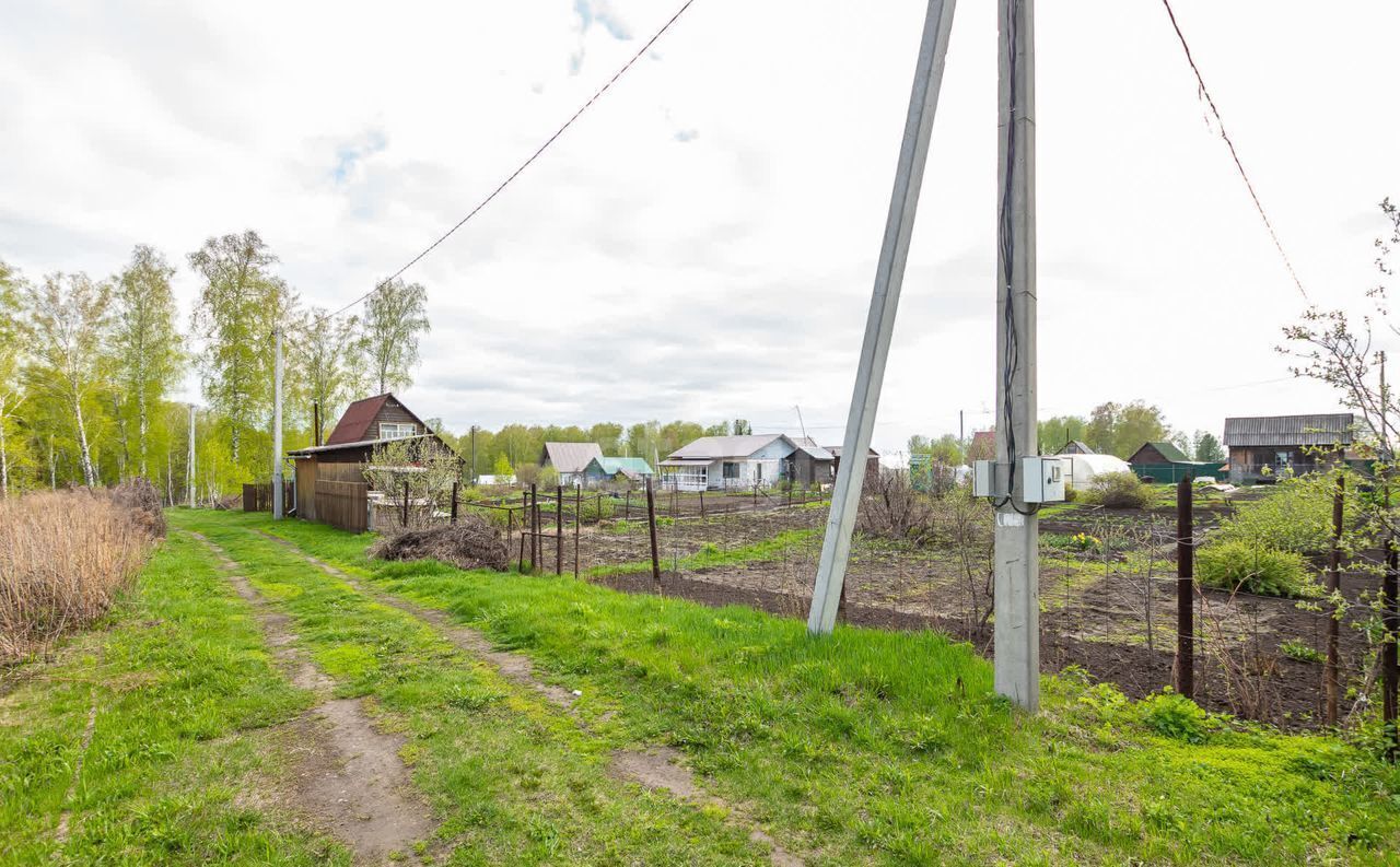 земля р-н Новосибирский снт Полянка Барышевский сельсовет, Новосибирск фото 9