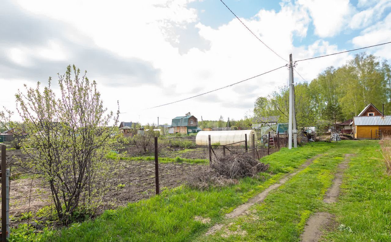 земля р-н Новосибирский снт Полянка Барышевский сельсовет, Новосибирск фото 8