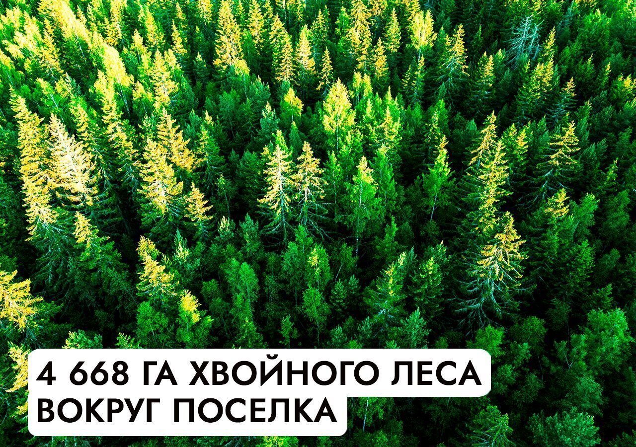 земля городской округ Красногорск 9734 км, коттеджный пос. Тен, пос. Ильинское-Усово, Рублёво-Успенское шоссе фото 9