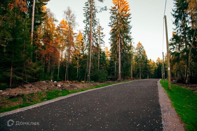 земля коттеджный посёлок Сосновый пляж фото