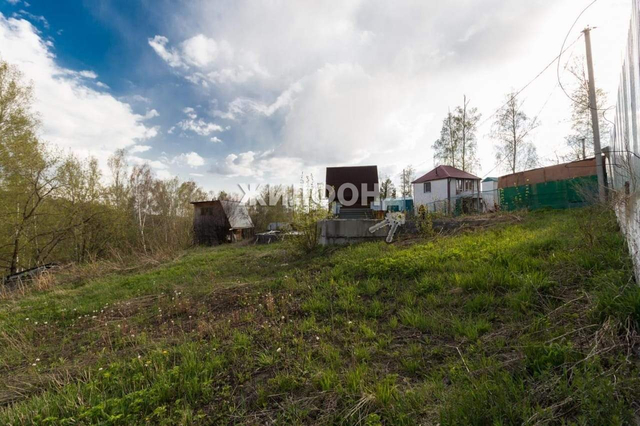 земля с Ярково Берёзовая роща, Медик-7 садовое товарищество фото