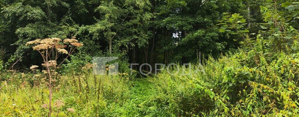 земля городской округ Рузский 9785 км, д. Марково, Можайское шоссе, Тучково фото 13