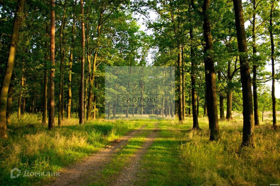 дом р-н Белорецкий село Новоабзаково фото 1