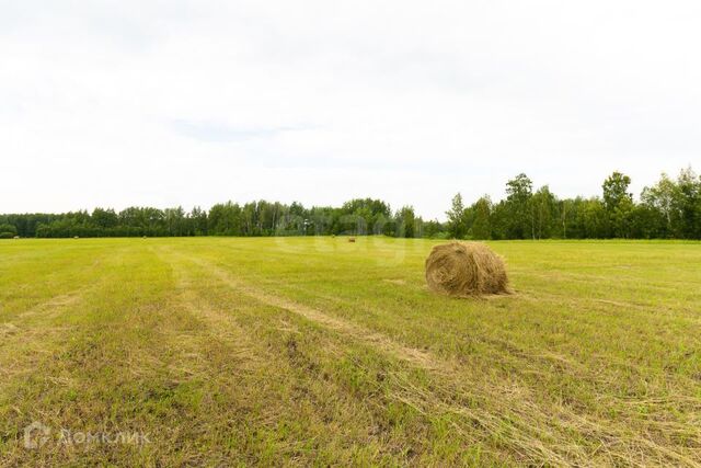 городской округ Тюмень, Калининский фото