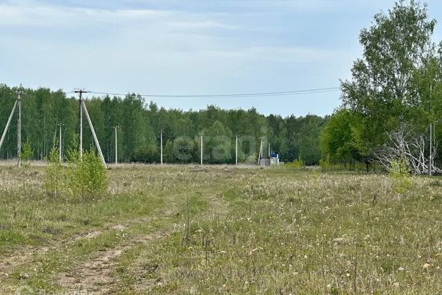 село Каменское фото