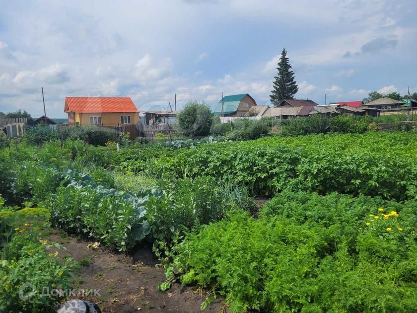 земля г Тюмень снт Царево ул Царская городской округ Тюмень фото 2