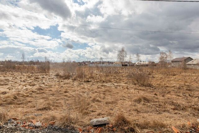 городской округ Тюмень, Садоводческое общество Царёво фото