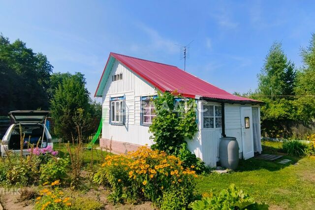 городской округ Владимир, СНТ Связист фото