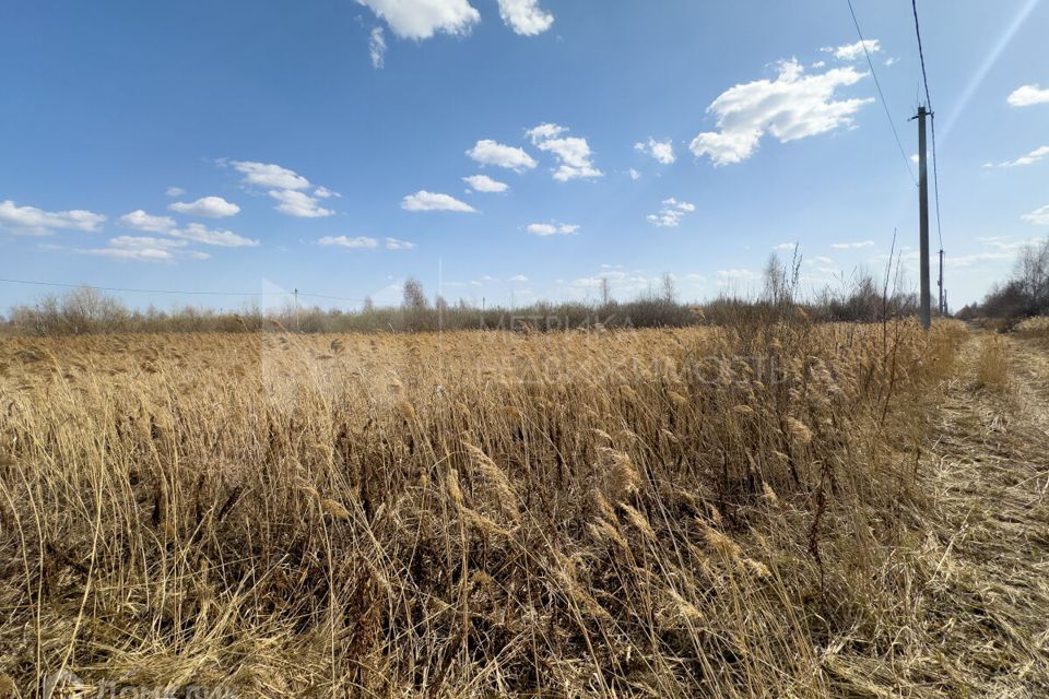 земля городской округ Тюмень, СОДНТ Изыскатель фото 4