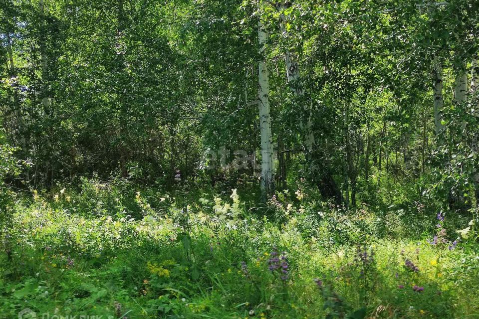 земля р-н Сосновский деревня Шимаковка фото 3