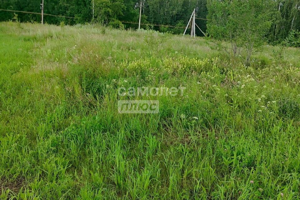 земля р-н Сосновский посёлок Томинский фото 2