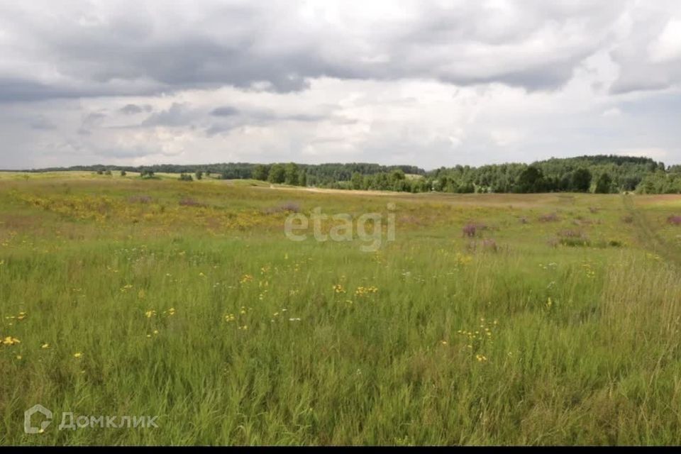 земля р-н Мелеузовский д Смаково Правонабережная улица, 48 фото 4