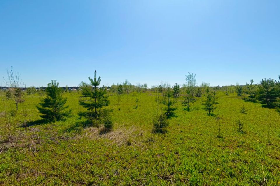 земля р-н Пермский село Култаево фото 5