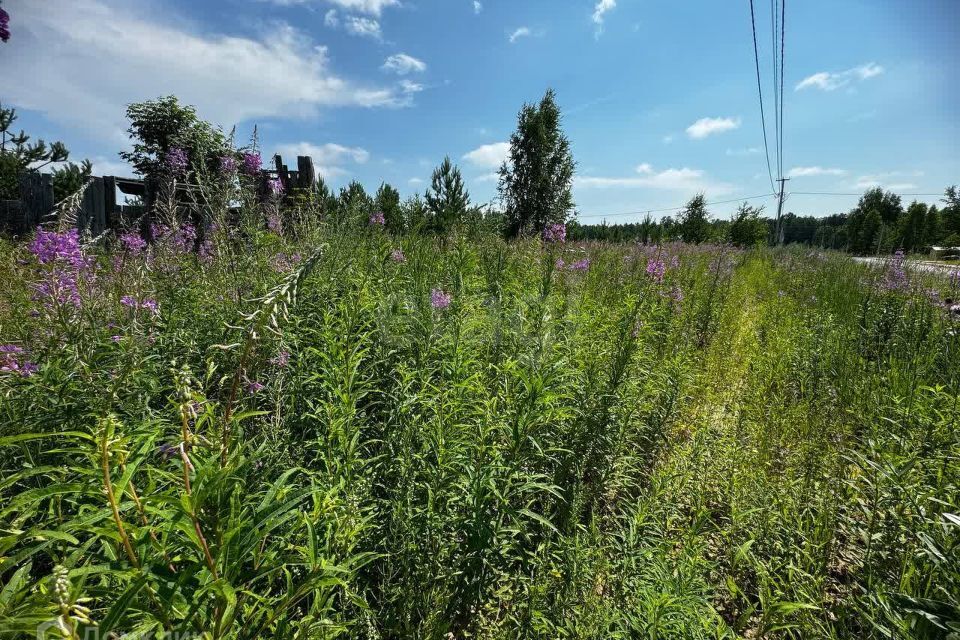 земля г Тюмень снт Светлячок городской округ Тюмень, 2-я улица фото 8