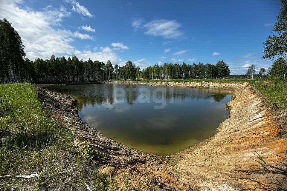 земля р-н Нижнетавдинский село Тюнево фото 8