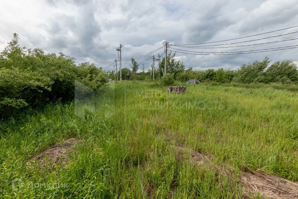 земля городской округ Тюмень, ДНТ Большое Царёво - 1 фото 5