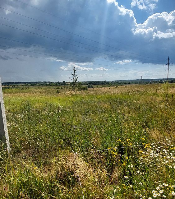 земля г Жигулевск городской округ Жигулёвск, Александровское Поле фото 6