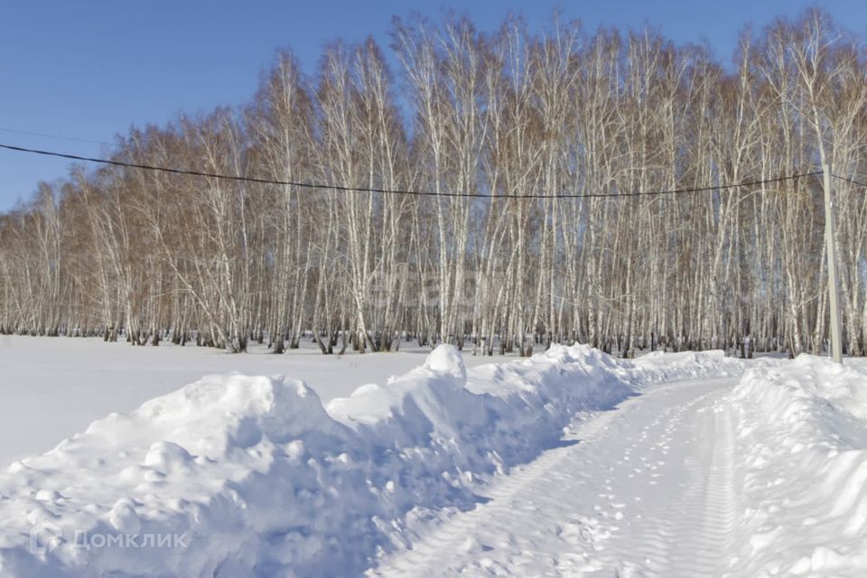 земля р-н Омский п Магистральный ул Луговая фото 5