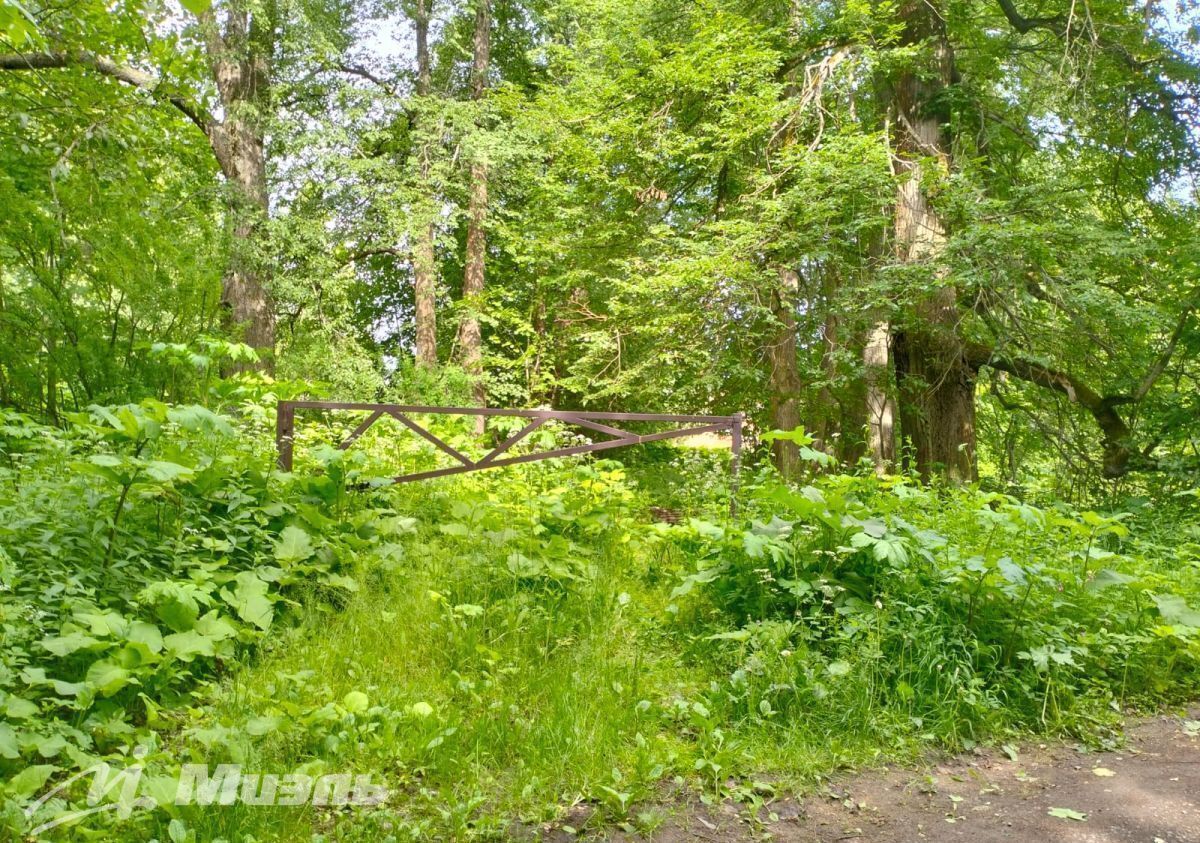 земля городской округ Солнечногорск 53 км, территориальное управление Смирновское, Рогачёвское шоссе фото 7