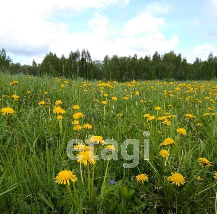 земля р-н Бабынинский с Муромцево фото 8