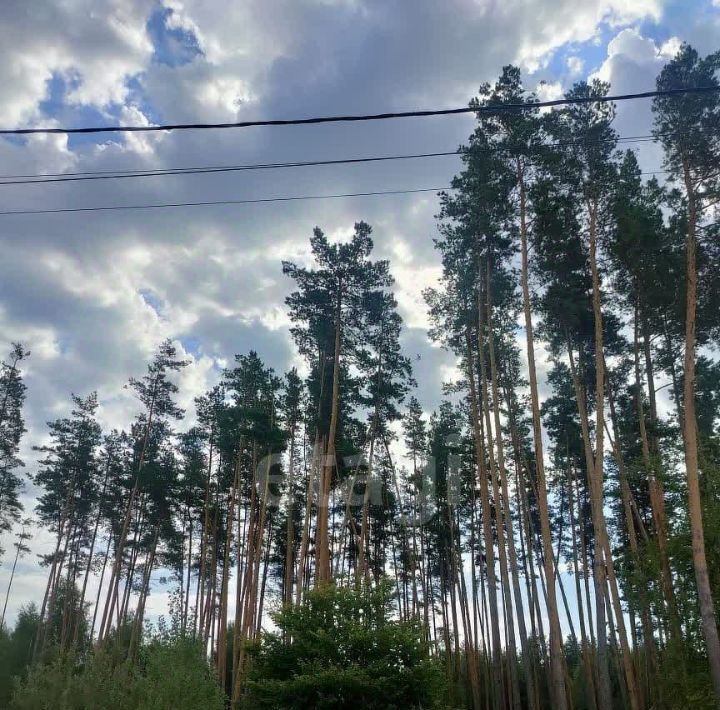 земля р-н Рамонский д Новоподклетное ул Генерала Ватутина Яменское с/пос фото 11