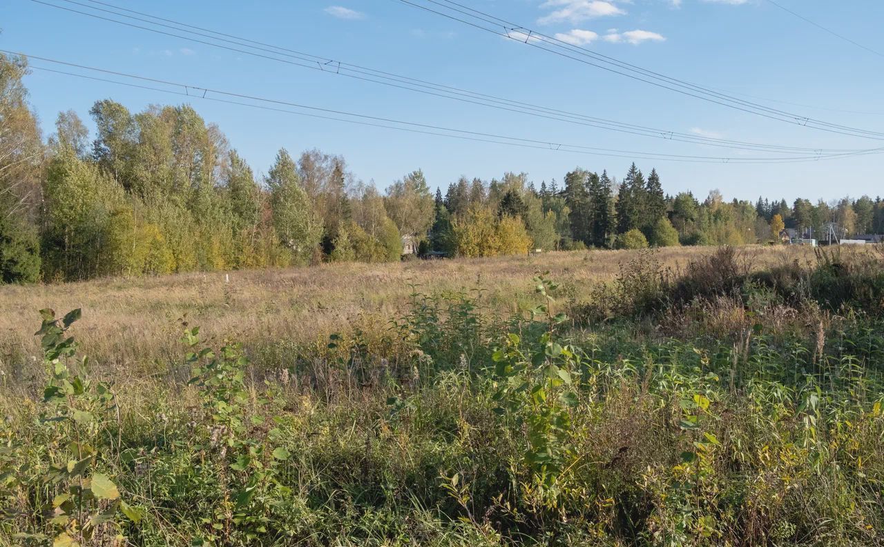 земля городской округ Солнечногорск рп Менделеево 25 км, д. Покров, г. о. Солнечногорск, Рогачёвское шоссе фото 3