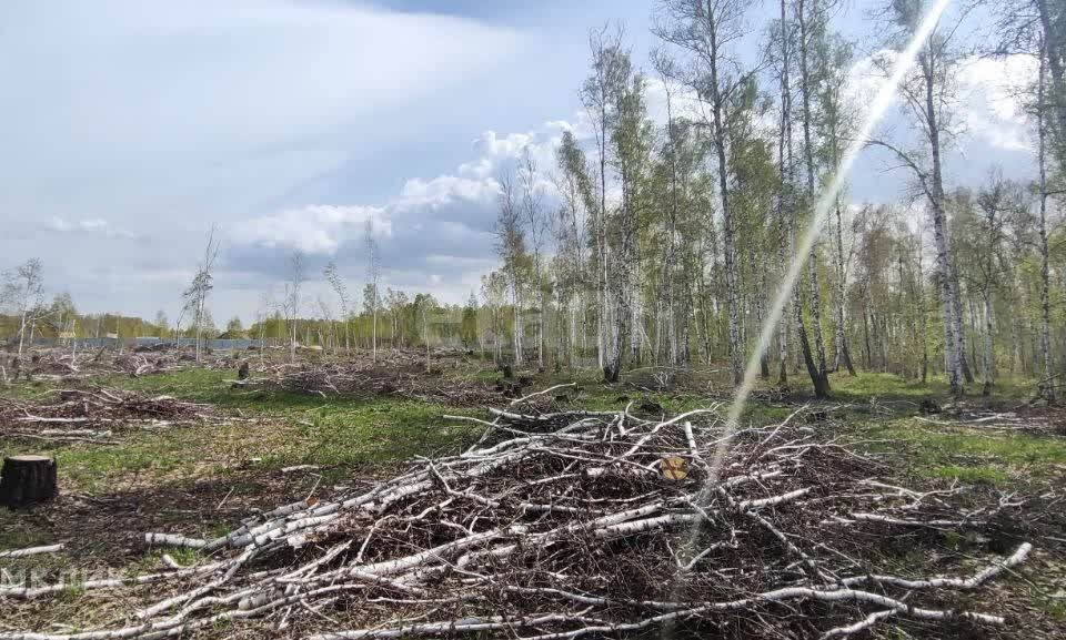 земля р-н Сосновский территория жилая застройка СИЖ фото 4