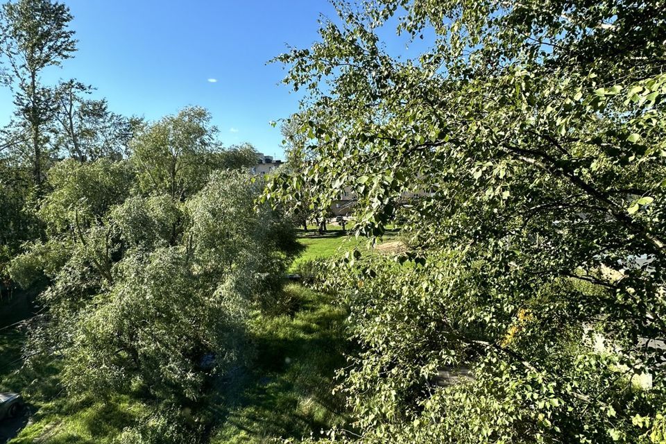 квартира г Великий Новгород ул Большая Московская 114к/4 городской округ Великий Новгород фото 8