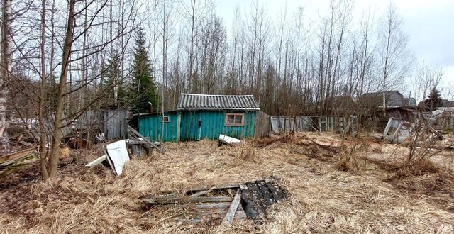 д Кайвакса Трасса Вологда — Новая Ладога, Борское сельское поселение, 19-я линия, 140, Тихвин фото