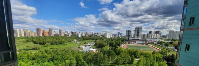 метро Мичуринский проспект дом 1к/1 деревня фото