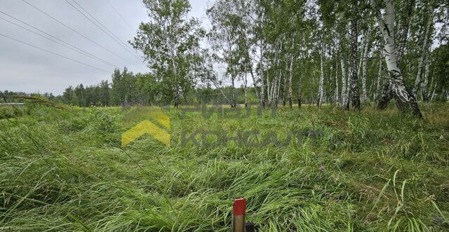 земля Пушкинское сельское поселение, Счастливая ул, Омск фото