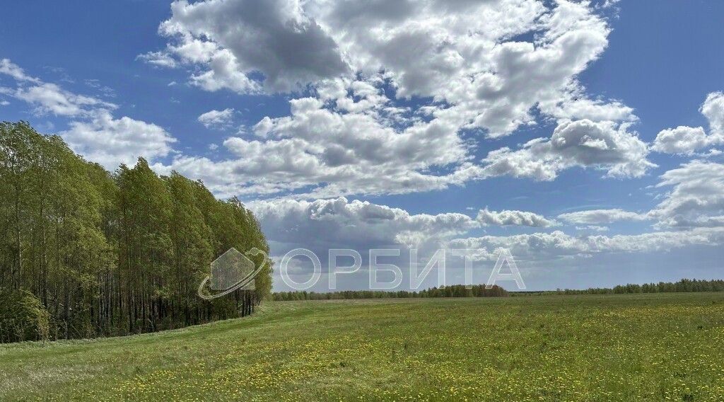 земля г Тюмень р-н Калининский ул. Червишевский Тракт фото 3