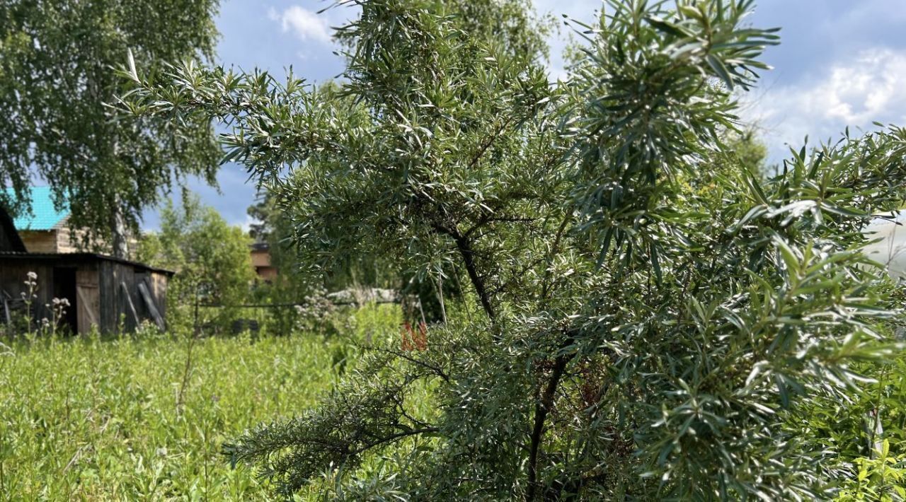 земля г Тюмень р-н Калининский снт Топаз ул Центральная фото 14