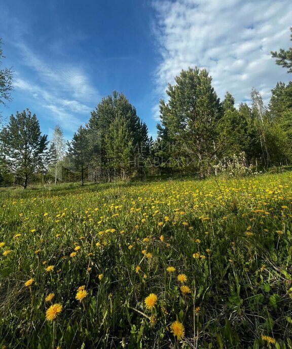 земля Каскаринское муниципальное образование фото 3