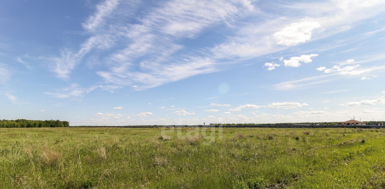 земля г Тюмень р-н Ленинский снт Плодовое фото 14