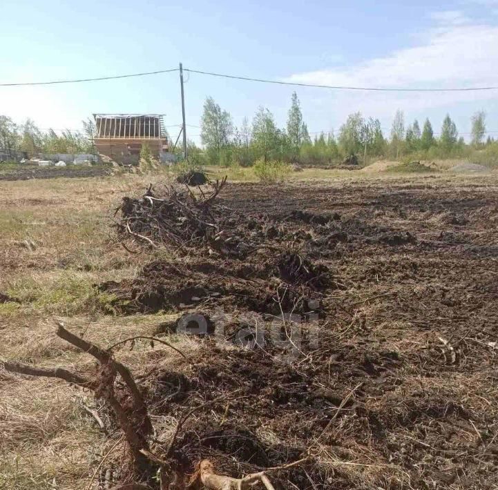 земля г Тюмень р-н Центральный снт Большое Царево-2 фото 10