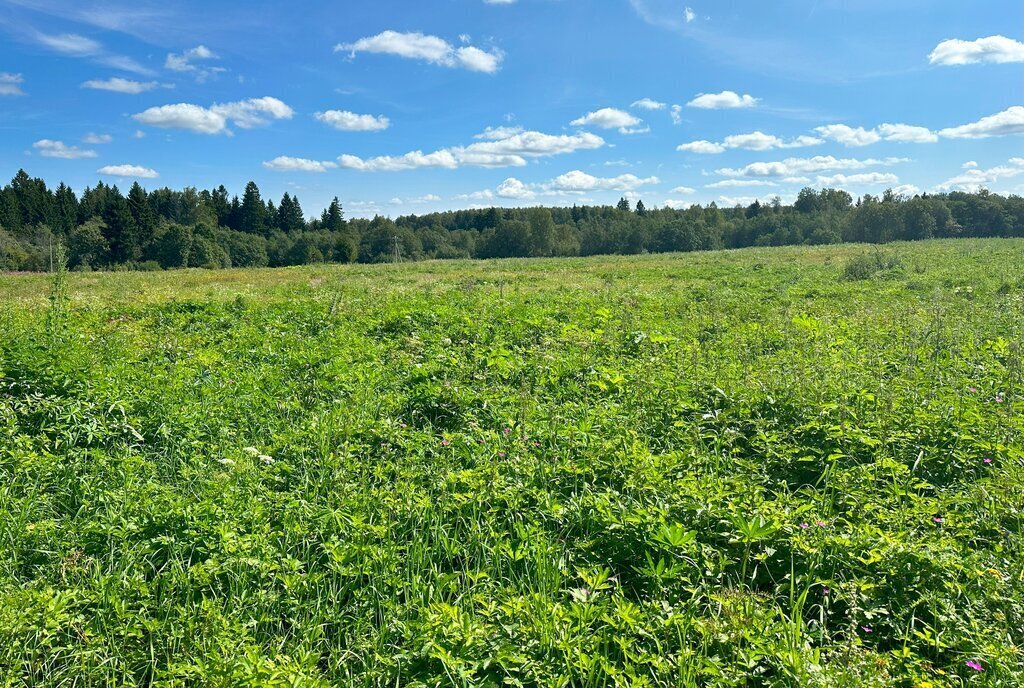 земля городской округ Клин д Вертково фото 28